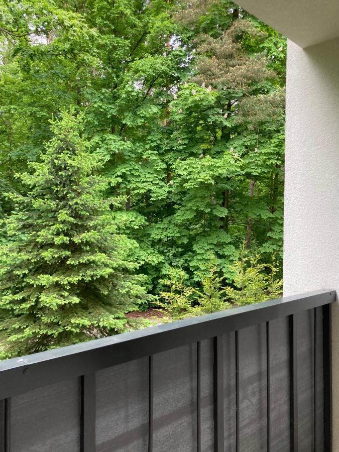 Apartament 221 Przy Niedzwiadku Bad Altheide Exterior foto